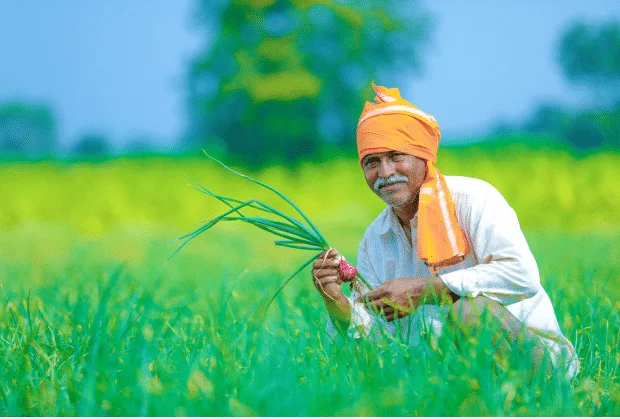 Chhattisgarh Farmers: अब किसानों को मिलेगा बोनस, राज्य सरकार ने किया ऐलान, 12 मार्च को आएगा पैसा